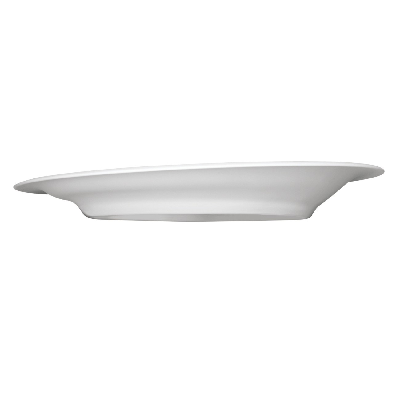 Rosenthal Πιάτο ρηχό 29 cm σειρά In.Gredienti