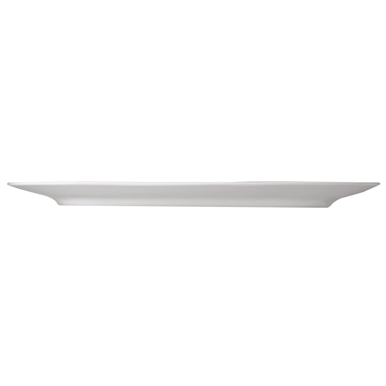 Rosenthal Πιατέλα 39x24 cm σειρά In.Gredienti